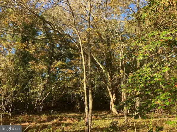 81 Davis Rd, Marion Station, MD 21838