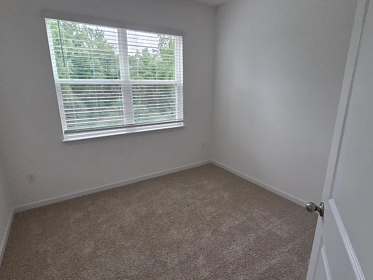 803 Lucky Clover Way — Photo 12