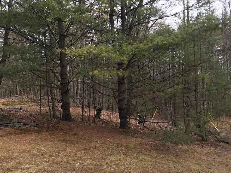 51 Saugerties Rd — Photo 33