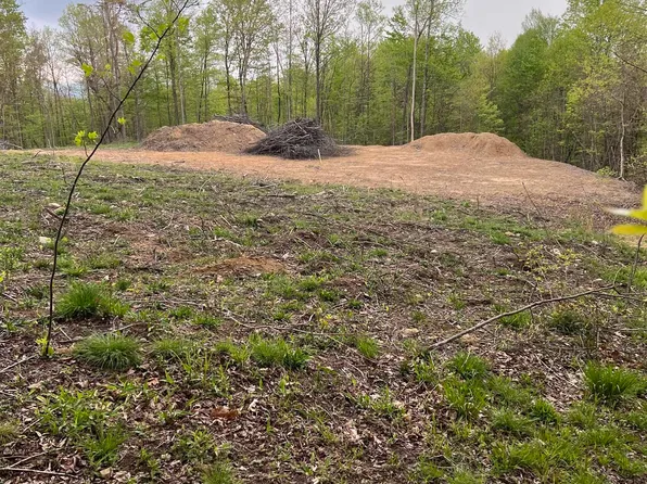 2 Deerbrook Ln, Belington, WV 26250