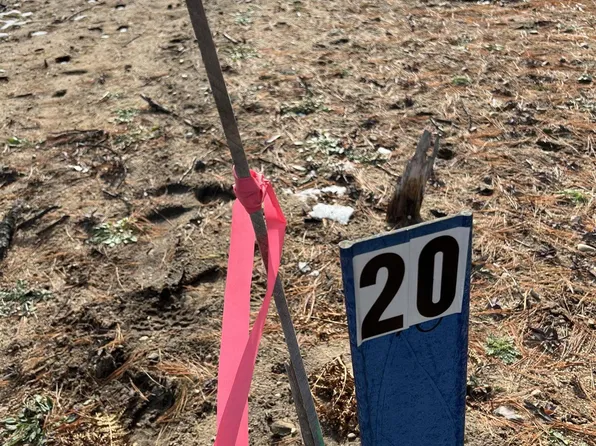 7896 Springwater Dr NW, Rapid City, MI 49676