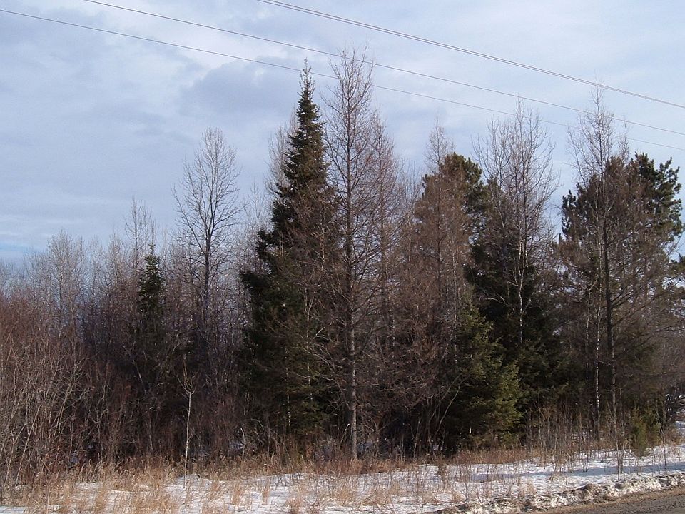 2nd image of N Taylor Rd West Of Address 6637 Side Of