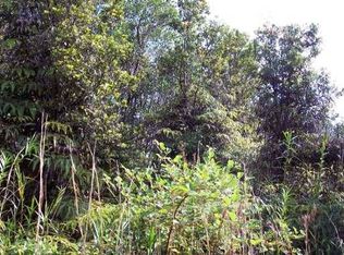 11-3204 Laupaka Rd LOT 10, Volcano, HI 96785