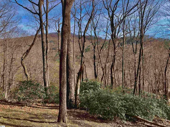 1328 Panther Park Trl, Travelers Rest, SC 29690