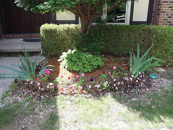 5th image of 2800 Ranieri Dr