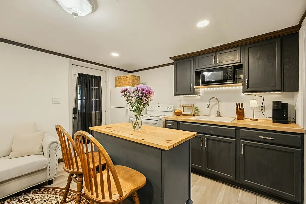 1 bed, $1,250 — Photo 4