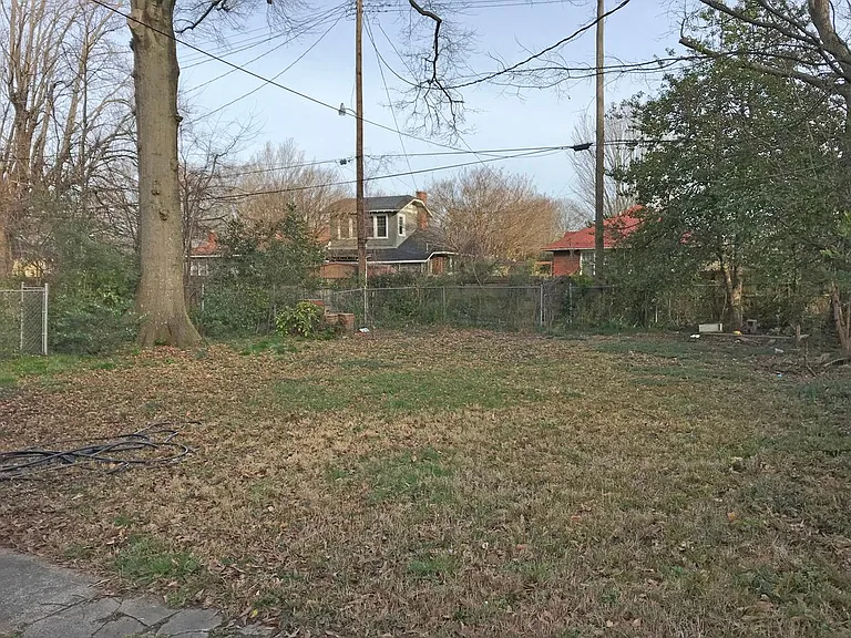 Big back yard