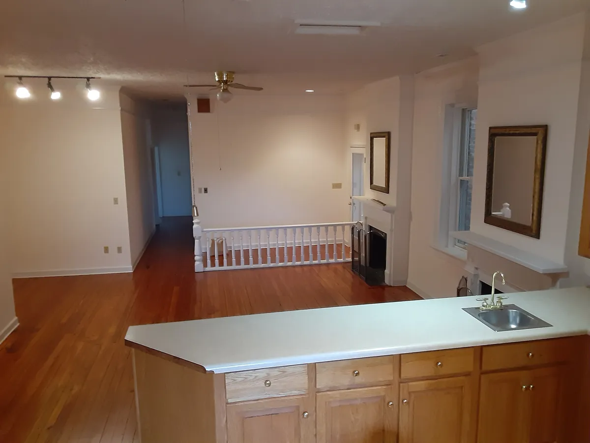 Kitchen and Living Room - 117A Laurens St