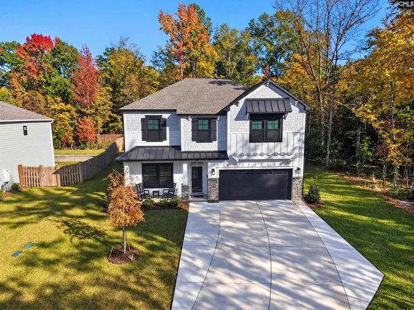195 Collins Cove Dr, Chapin, SC 29036