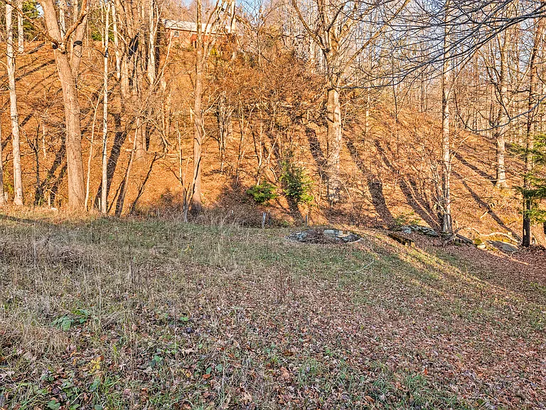 101 Starlight Ln — Photo 46