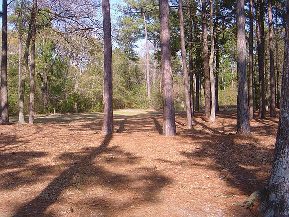 5th image of 105 Twelve Oaks Ln
