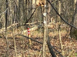 13356 Ellison Trce, Birchwood, TN 37308