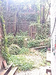 Rented by A D Shaye Realty Group 