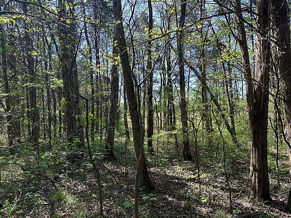 3rd image of 0 Cedar Grove Rd S