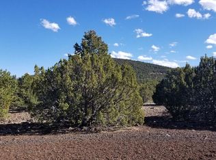 65 County Road N3138, Vernon, AZ 85940