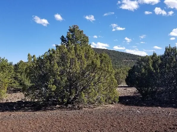 65 County Road N3138, Vernon, AZ 85940