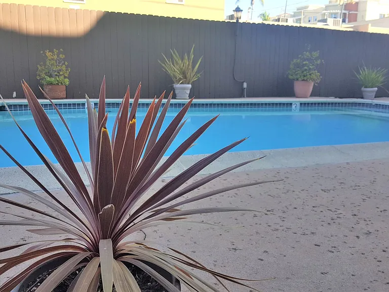 Villa Capri Apartments — Photo 3