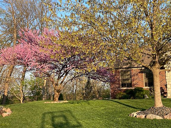 4th image of 3829 Deertrail Dr