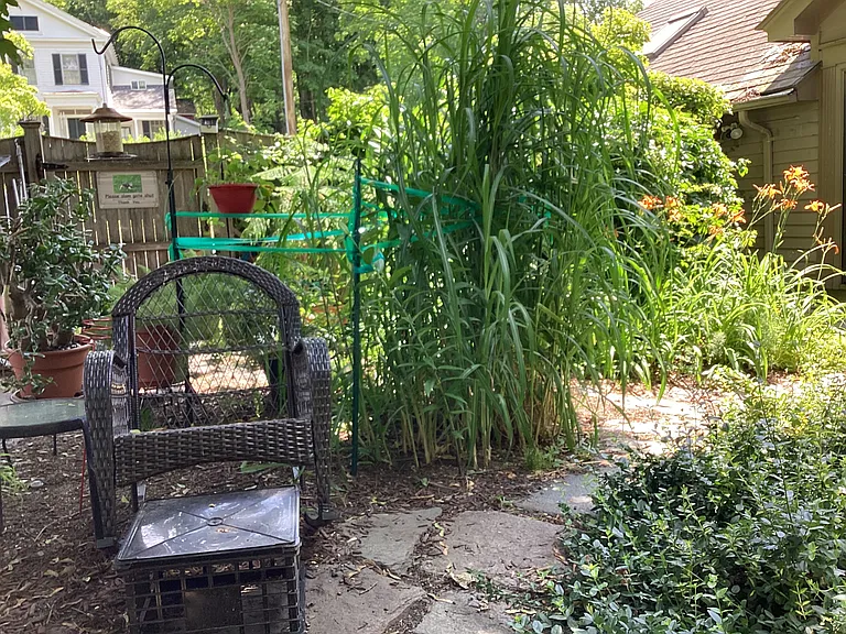 Side yard / Garden