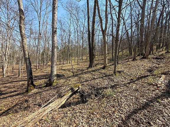 5th image of 430 J N Lee Rd