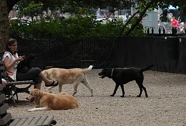 Rented by Equity Residential