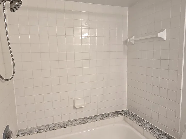 1000 W Horatio St #220 — Photo 18