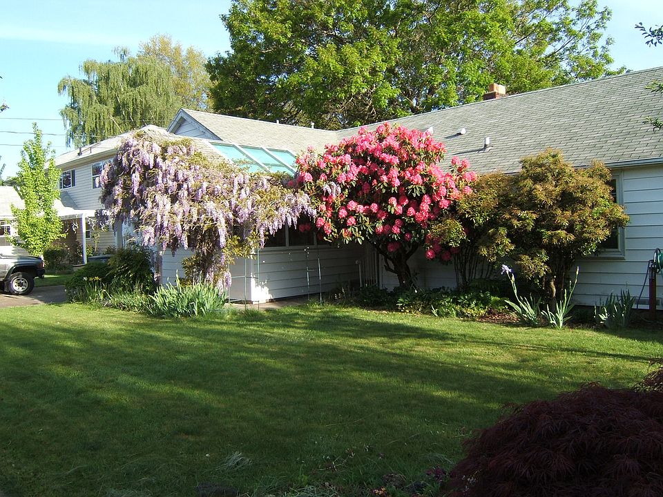 Front in Spring