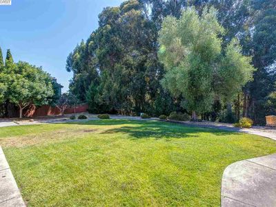 4289 David St, Castro Valley, CA, 94546