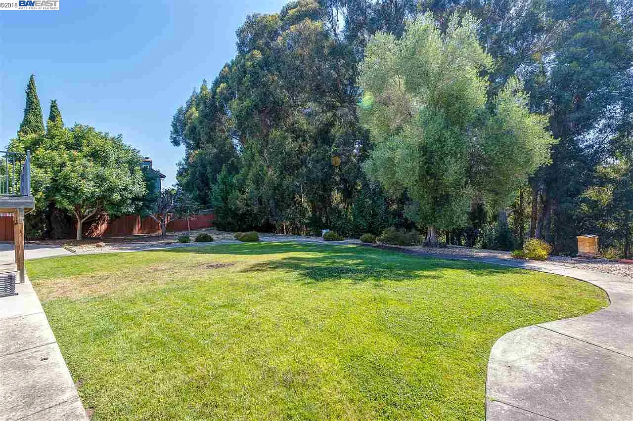 4289 David St photo 1