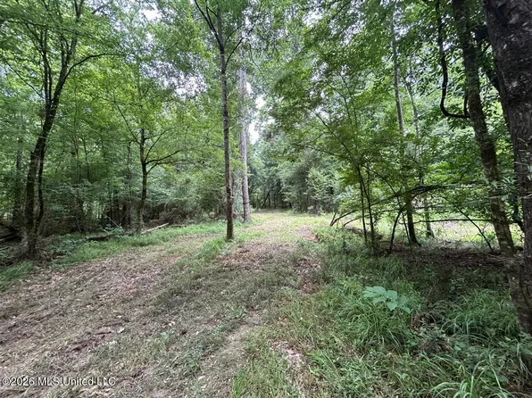 6642 Grange Hall Rd, Osyka, MS 39657