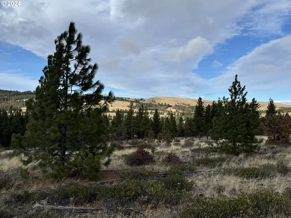 Luther Rd, Bickleton, WA 99322