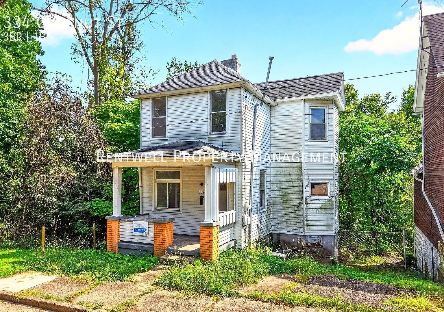 Spacious 3-Bedroom Home with Finished Basement & Wooded Views — Photo 2