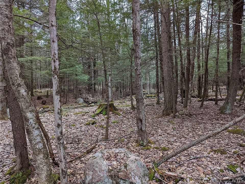1st image of 25 Maple Dr #25