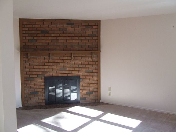 Wood-Burning Fireplace