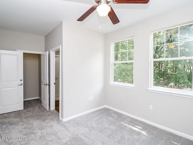 473 Olive Branch Way — Photo 19