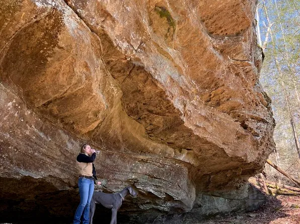 9999 Paradise Dr, Rogers, KY 41365