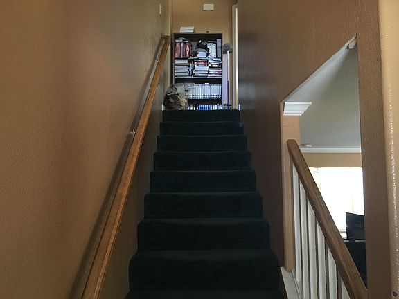 4th image of 1885 Jeneane Marie Cir