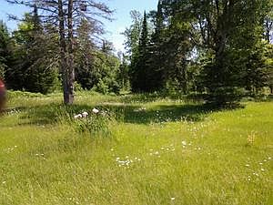 4th image of W19387 Us Highway 2