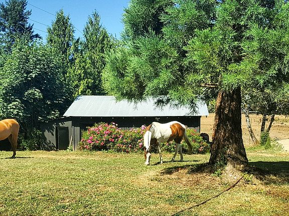 Cross fenced with 3 loafing 