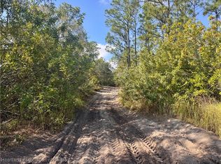 2163 Petunia Ave, Sebring, FL 33875