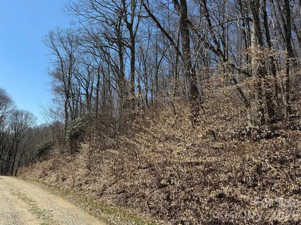 0 Granny Shepherd Rd #4, Mars Hill, NC 28754