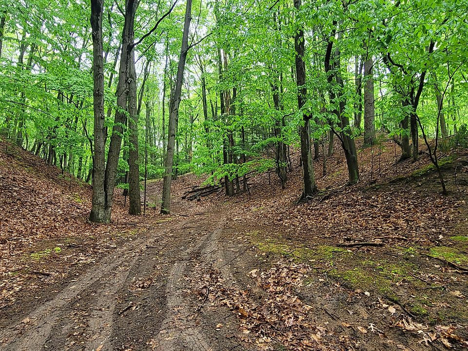 1st image of Avenue D