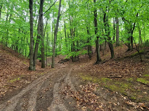 Avenue D, Pentwater, MI 49449