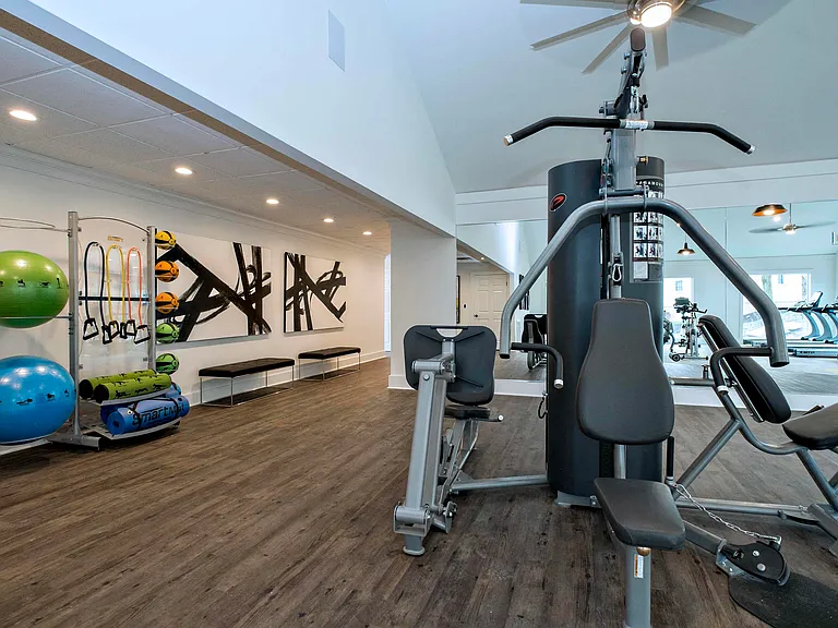 Large Well Equipped Gym