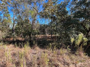 SW Sea Cliff Ave, Dunnellon, FL 34431