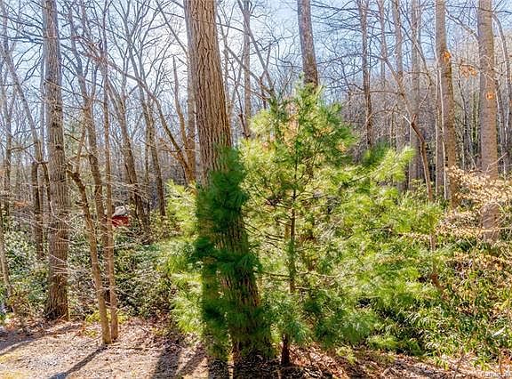 2nd image of 99999 Mecklenburg Cir #1305