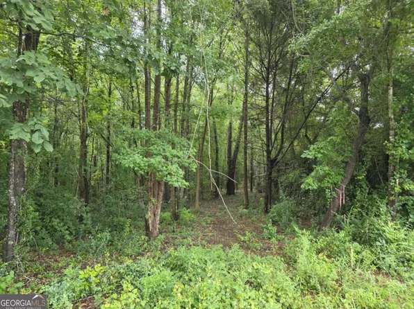 0 Smith Rd Lot 20, Thomaston, GA 30286
