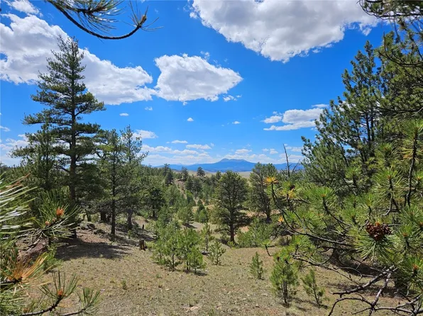 Pcs 25253 Fernando Trl, Hartsel, CO 80449