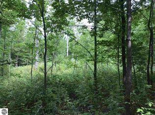 0 W 26th Rd LOT 6, Mesick, MI 49668