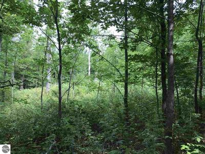 0 W 26th Rd LOT 6, Mesick, MI, 49668